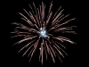 Red Wire professional fireworks 4 inch shell : brocade crown w/white strobe pistil. Available in assorted 4" shells at Xena Vuurwerk