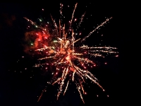 Professional fireworks 100 shots cakebox of the Red Wire assortyment, distributed by Xena vuurwerk in The Netherlands
