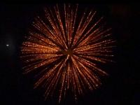 6 inch shell gold ti willow. Professional RedWire fireworks, distributed by Xena Vuurwerk BV - Holland