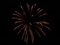 2,5 inch shell brocade crown. Professional RedWire fireworks, distributed by Xena Vuurwerk BV - Holland