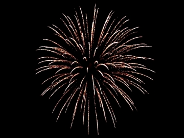 5 inch shell Brocade crown - Red Wire professional fireworks. Supplied and distributed by Xena Vuurwerk BV from Holland