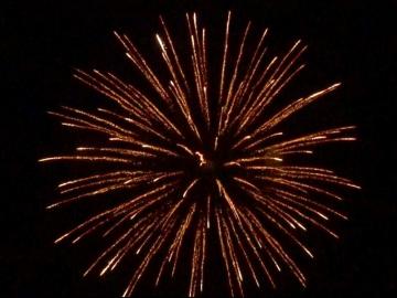 6 inch shell crackling brocade crown. Professional RedWire fireworks, distributed by Xena Vuurwerk BV - Holland