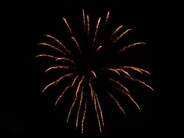 2,5 inch shell brocade crown. Professional RedWire fireworks, distributed by Xena Vuurwerk BV - Holland